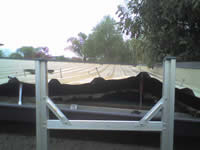 CatTrapedinceiling003